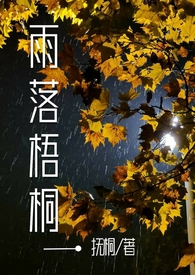 雨落梧桐小说免费阅读